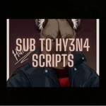 hy3n4scripts